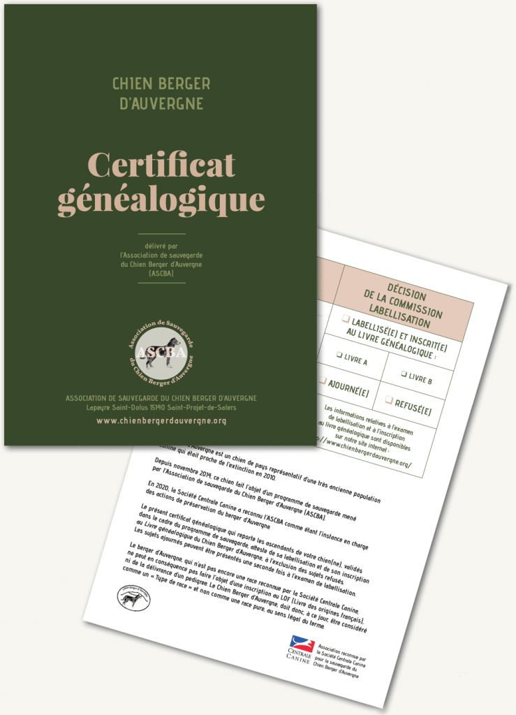 Certificat généalogique Chien de Berger d'Auvergne