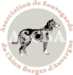 Logo Association de sauvegarde du Chien Berger d’Auvergne (ASCBA)